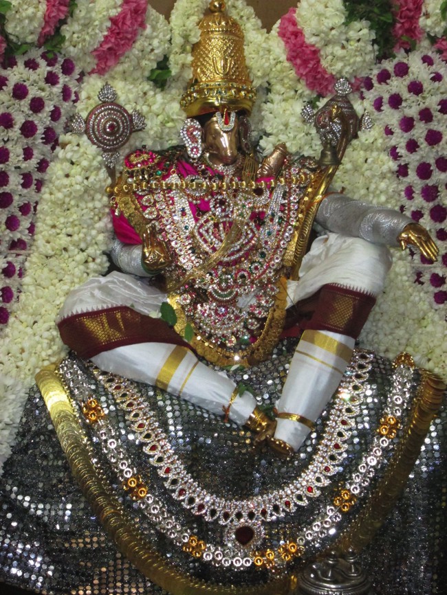 Pondicherry Sri Hayagreevar Sannadhi Brahmotsavam day 7 2014--28