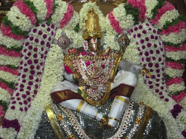 Pondicherry Sri Hayagreevar Sannadhi Brahmotsavam day 7 2014--29