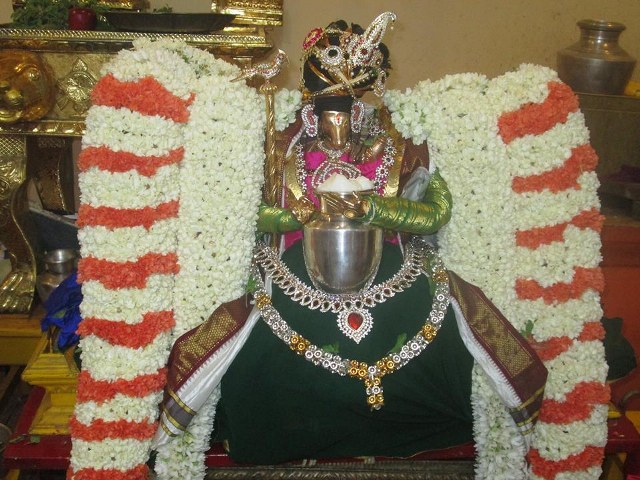 Pondicherry Sri Hayavagreeva Sannadhi Brahmotsavam day 8 2014  05