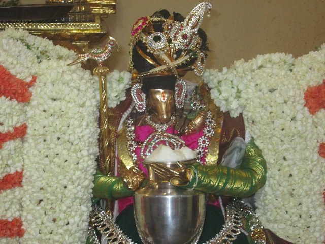 Pondicherry Sri Hayavagreeva Sannadhi Brahmotsavam day 8 2014  08