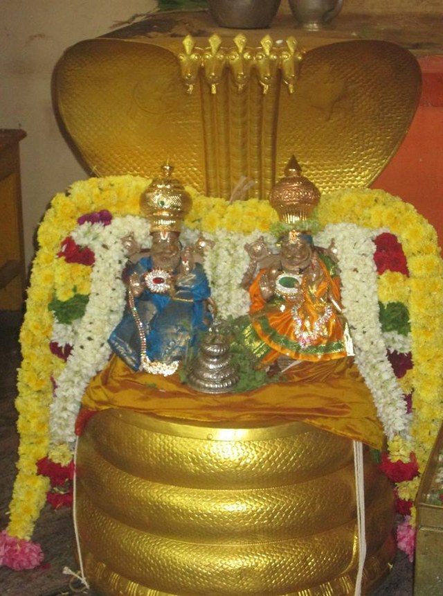 Pondicherry Sri Lakshmi Hayagreeva Perumal Sannadhi Brahmotsavam Day 3 2014 01