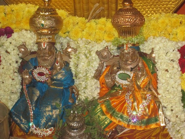 Pondicherry Sri Lakshmi Hayagreeva Perumal Sannadhi Brahmotsavam Day 3 2014 04