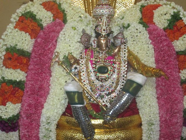 Pondicherry Sri Lakshmi Hayagreeva Perumal Sannadhi Brahmotsavam Day 3 2014 06