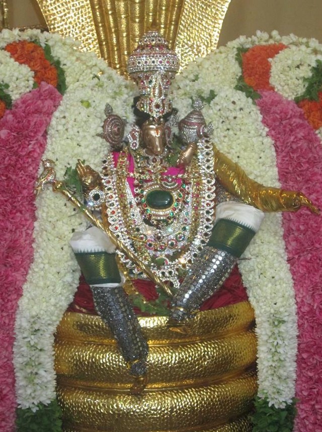Pondicherry Sri Lakshmi Hayagreeva Perumal Sannadhi Brahmotsavam Day 3 2014 07