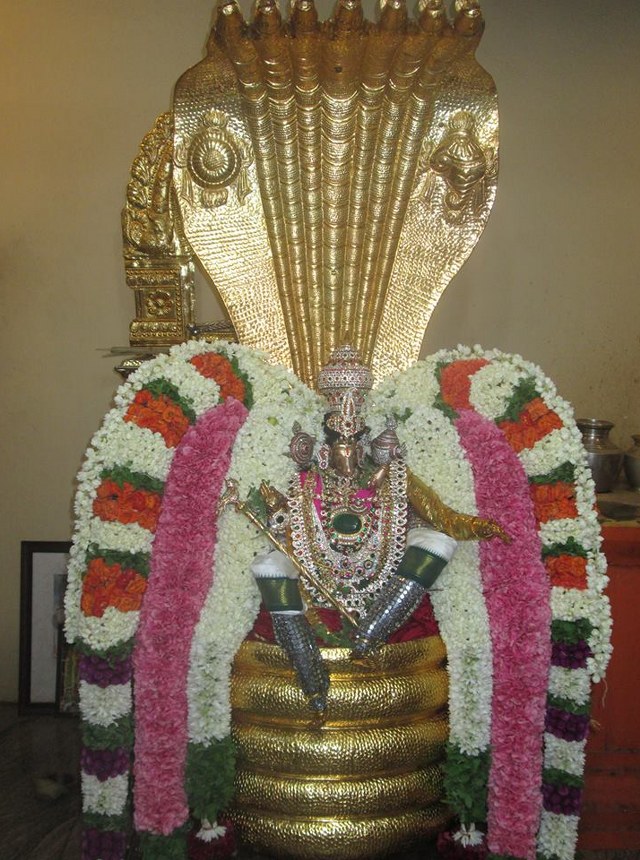 Pondicherry Sri Lakshmi Hayagreeva Perumal Sannadhi Brahmotsavam Day 3 2014 08