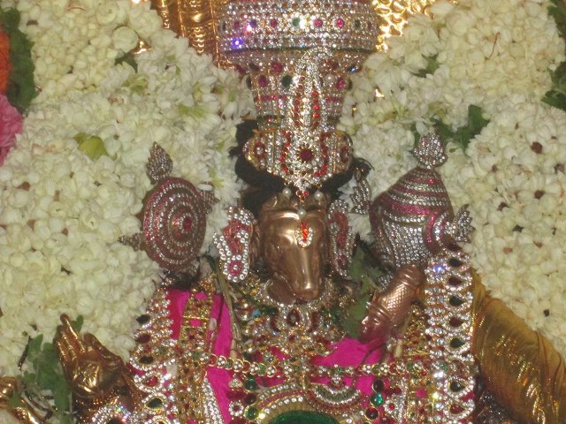 Pondicherry Sri Lakshmi Hayagreeva Perumal Sannadhi Brahmotsavam Day 3 2014 11