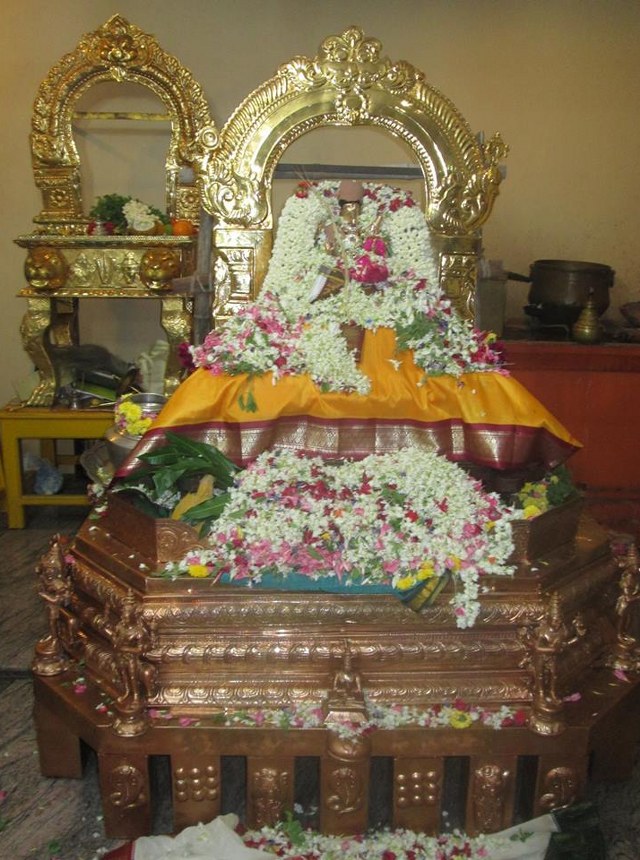Pondicherry Sri hayagreevar Sannadhi Brahmotsavam day 9  2014  1