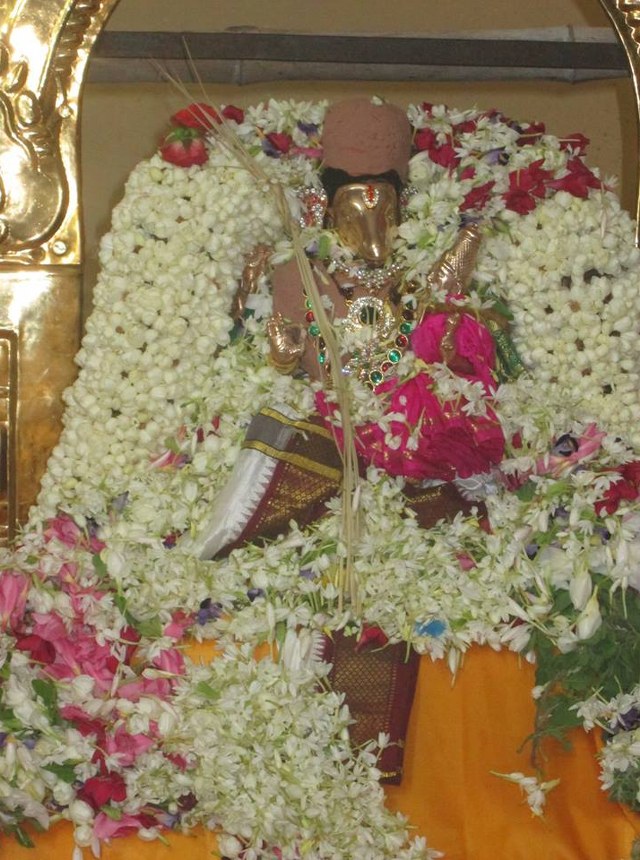 Pondicherry Sri hayagreevar Sannadhi Brahmotsavam day 9  2014  2