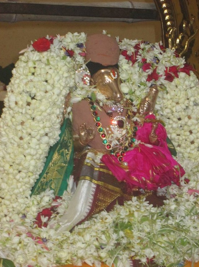 Pondicherry Sri hayagreevar Sannadhi Brahmotsavam day 9  2014  4
