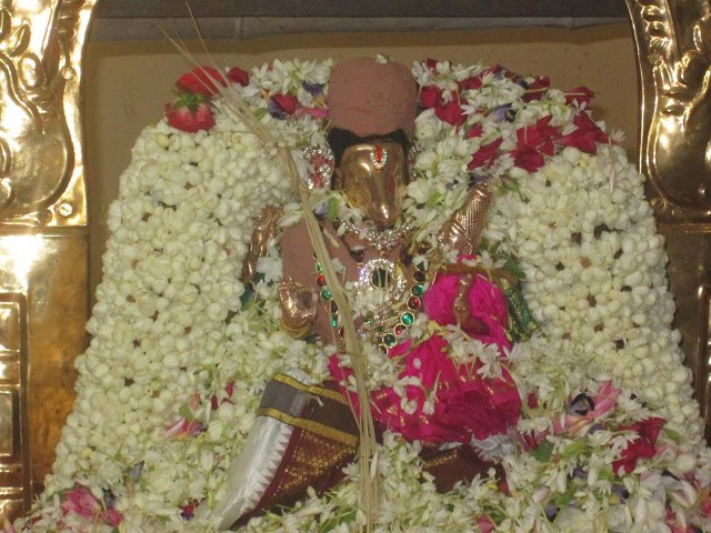 Pondicherry Sri hayagreevar Sannadhi Brahmotsavam day 9  2014  7