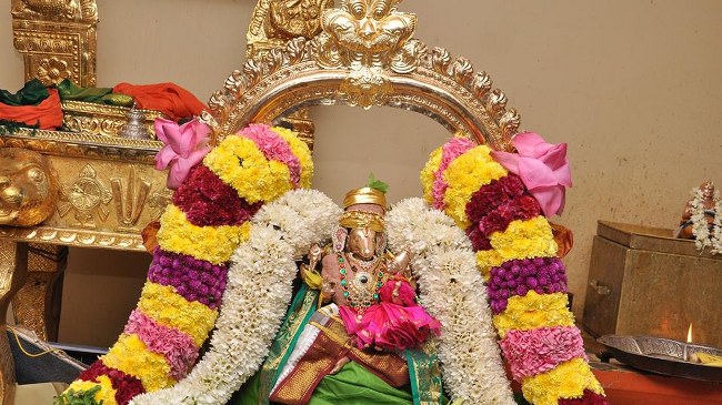 Pondicherry Sri hayagreevar Sannadhi Brahmotsavam day 9 THiruther  2014  01
