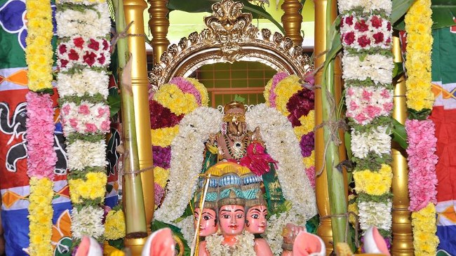 Pondicherry Sri hayagreevar Sannadhi Brahmotsavam day 9 THiruther  2014  05