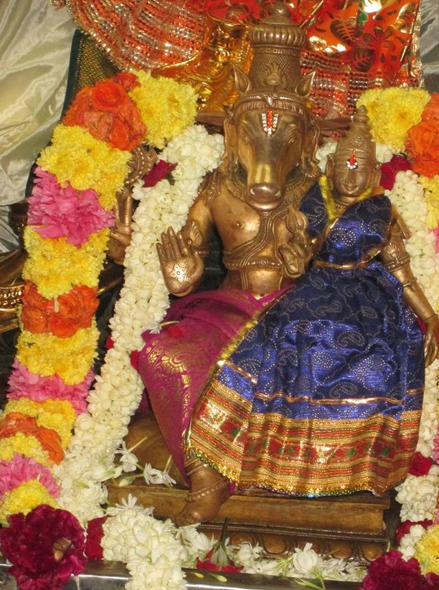 Pondichery Sri Srinivasar Sannadhi Hayagreeva Jayanthi 2014  2