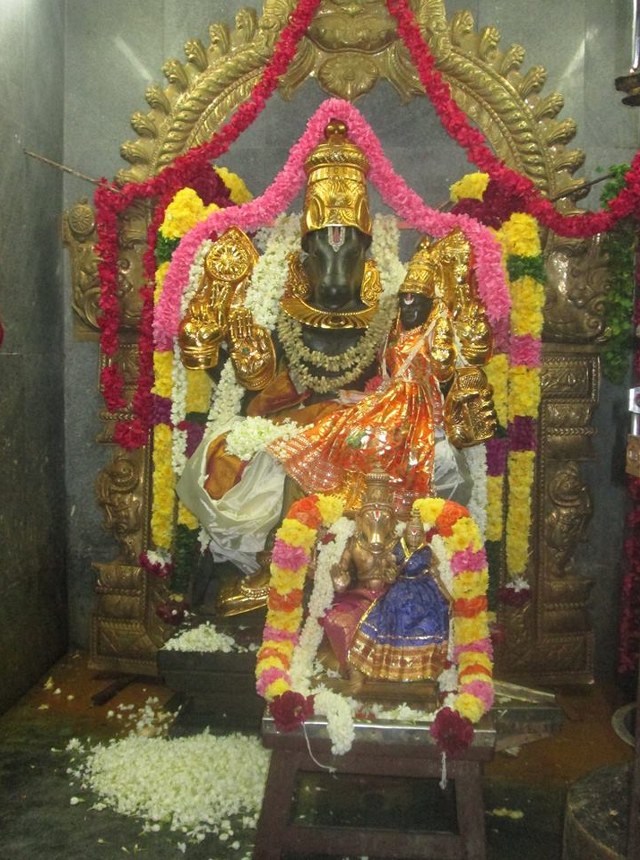 Pondichery Sri Srinivasar Sannadhi Hayagreeva Jayanthi 2014  5