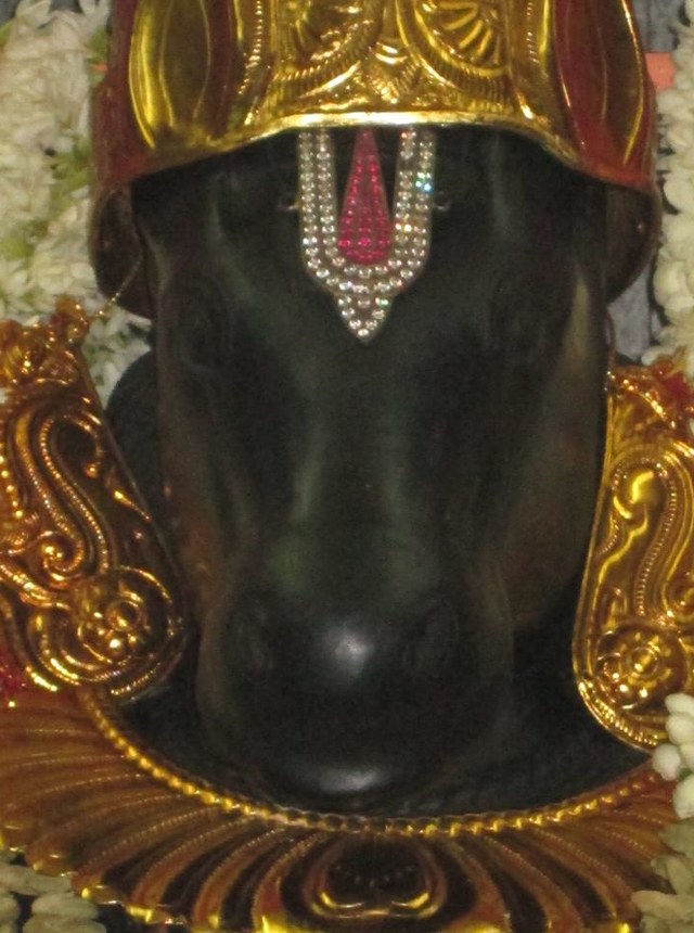Pondichery Sri Srinivasar Sannadhi Hayagreeva Jayanthi 2014  7