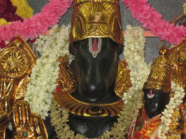 Pondichery Sri Srinivasar Sannadhi Hayagreeva Jayanthi 2014  8