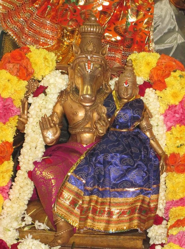 Pondichery Sri Srinivasar Sannadhi Hayagreeva Jayanthi 2014  9