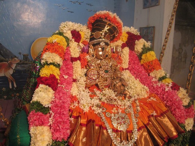 Pondy Srinivasa Perumal Sannadhi Navarathri Utsavam day 2 2014 04