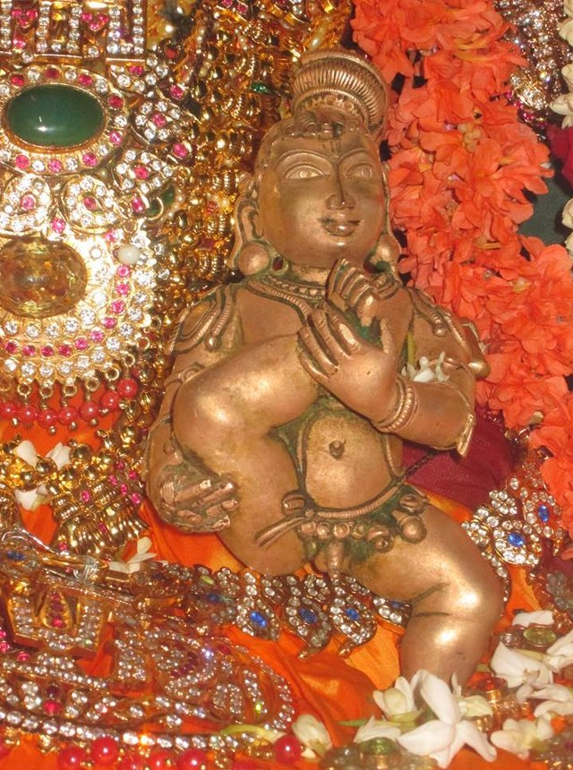 Pondy Srinivasa Perumal Sannadhi Navarathri Utsavam day 2 2014 08