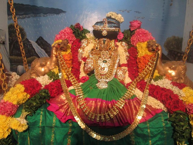 Pondy Srinivasa Perumal Sannadhi Navarathri Utsavam day 3 2014 7