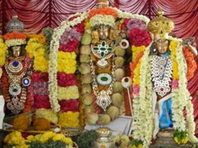 Ponpathirkoodam Sri Chaturbuja Ramar Temple Seetha Kalyanam5