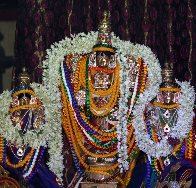 Pune Sri Balaji Mandir Pavithrotsavam   2014 09