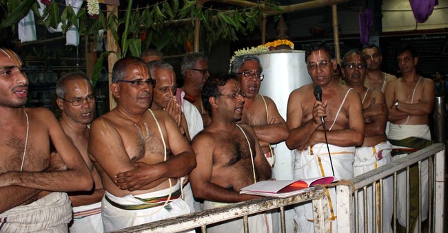Pune Sri Balaji Mandir Pavithrotsavam   2014 16