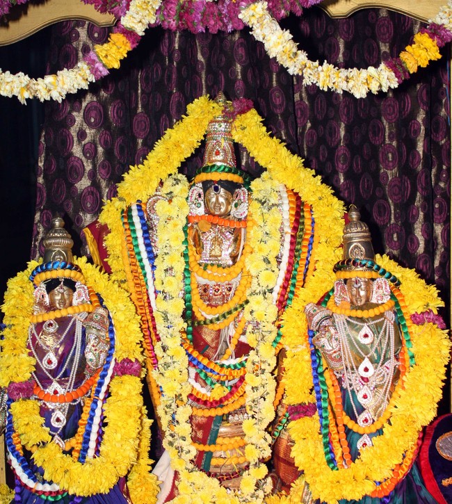 Pune Sri Balaji Mandir Pavithrotsavam   2014 18