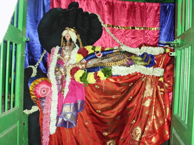 Punjai Puliampatti Karivaradharaja Perumal Temple  Purattasi Sayana Sevai 2014 17