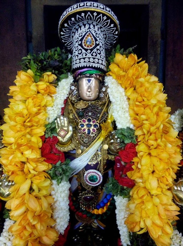 Sholingur Sri Lakshmi Narasimhaswamy Temple Thirupavithrotsavam day 5 2014 02