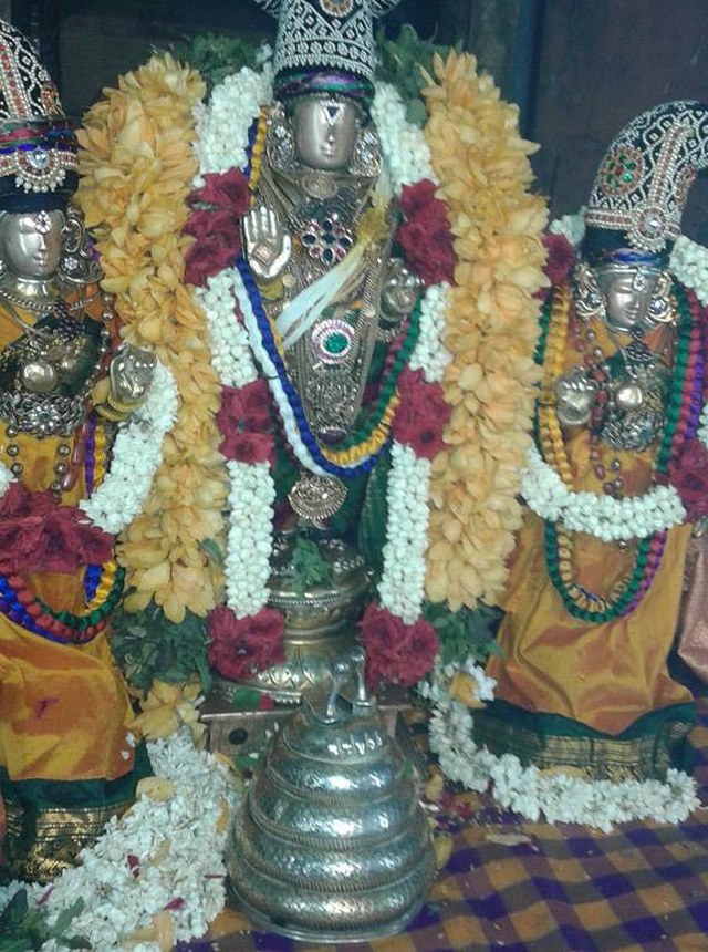 Sholingur Sri Lakshmi Narasimhaswamy Temple Thirupavithrotsavam day 5 2014 04