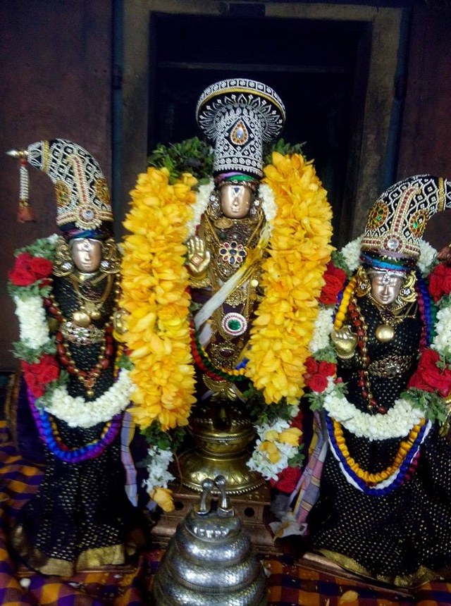 Sholingur Sri Lakshmi Narasimhaswamy Temple Thirupavithrotsavam day 5 2014 05