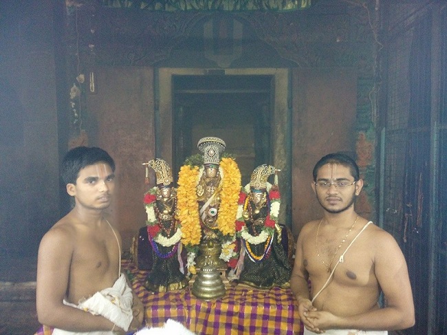 Sholingur Sri Lakshmi Narasimhaswamy Temple Thirupavithrotsavam day 5 2014 07