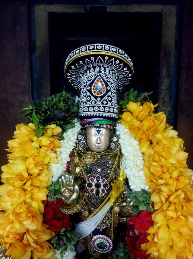 Sholingur Sri Lakshmi Narasimhaswamy Temple Thirupavithrotsavam day 5 2014 08
