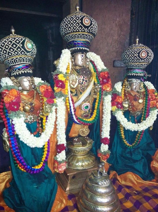 Sholingur Sri Lakshmi Narasimhaswamy Temple Thirupavithrotsavam day 6 2014 5