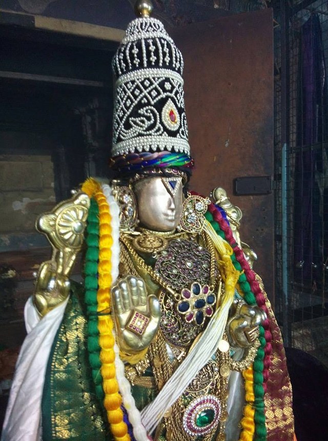 Sholingur Sri Lakshmi Narasimhaswamy Temple Thirupavithrotsavam day 7 2014 01