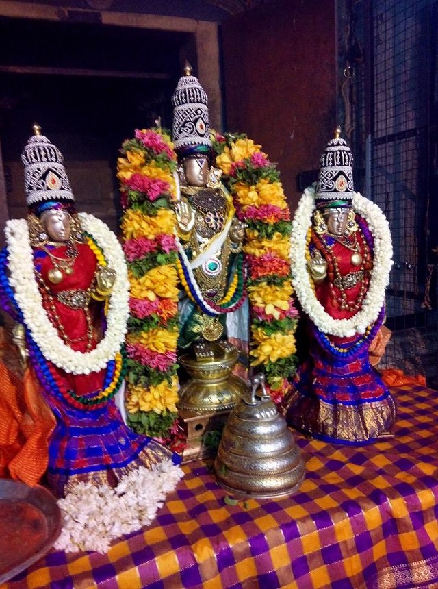 Sholingur Sri Lakshmi Narasimhaswamy Temple Thirupavithrotsavam day 7 2014 06