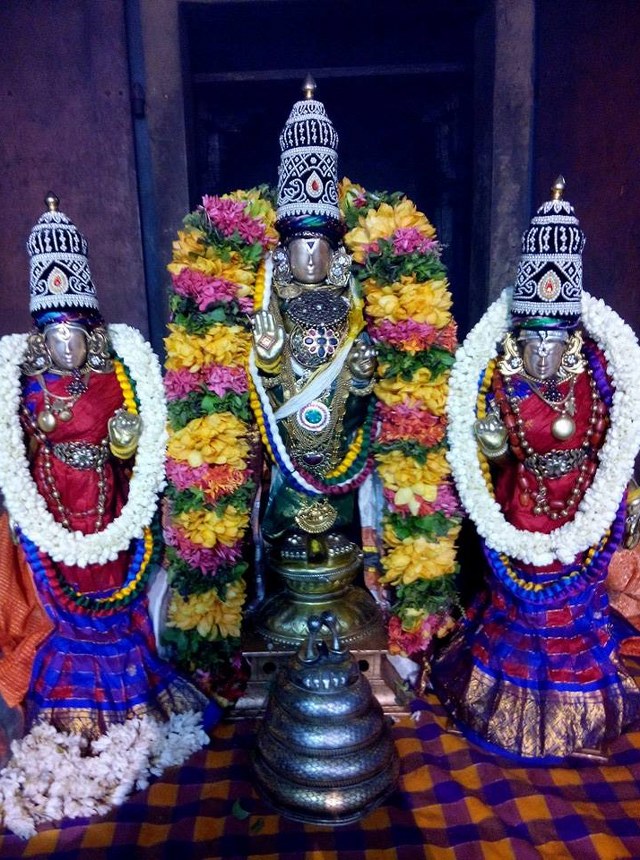 Sholingur Sri Lakshmi Narasimhaswamy Temple Thirupavithrotsavam day 7 2014 10