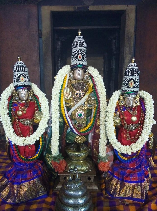 Sholingur Sri Lakshmi Narasimhaswamy Temple Thirupavithrotsavam day 7 2014 11