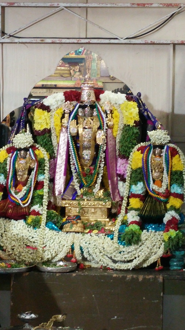 Singapore Srinivasa Perumal Temple Pavithrotsavam 2014--0009