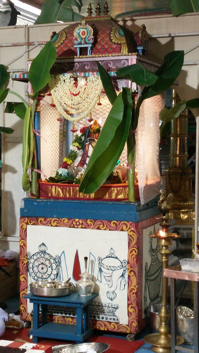 Singapore Srinivasa Perumal Temple Pavithrotsavam 2014--0011
