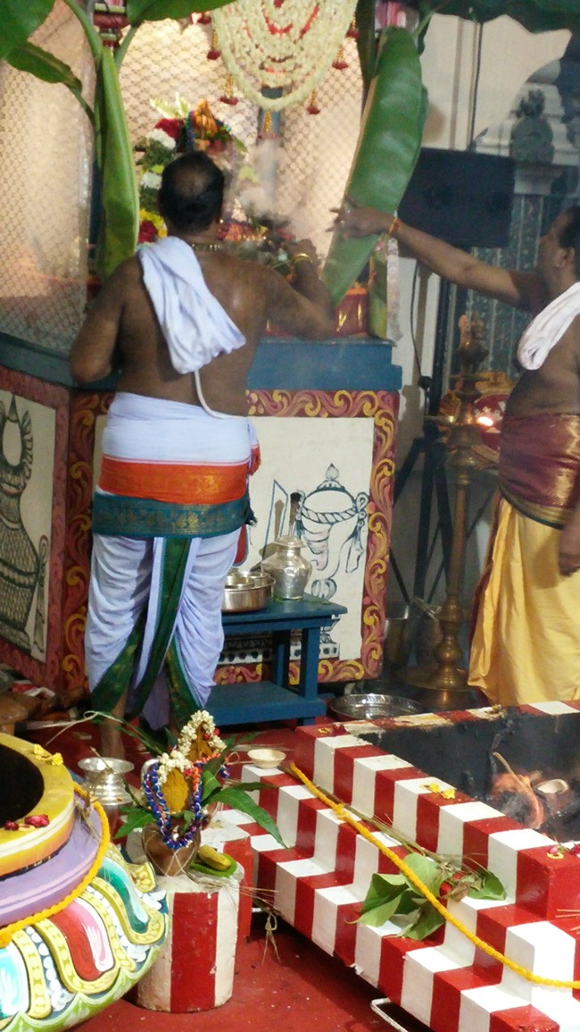Singapore Srinivasa Perumal Temple Pavithrotsavam 2014--0015