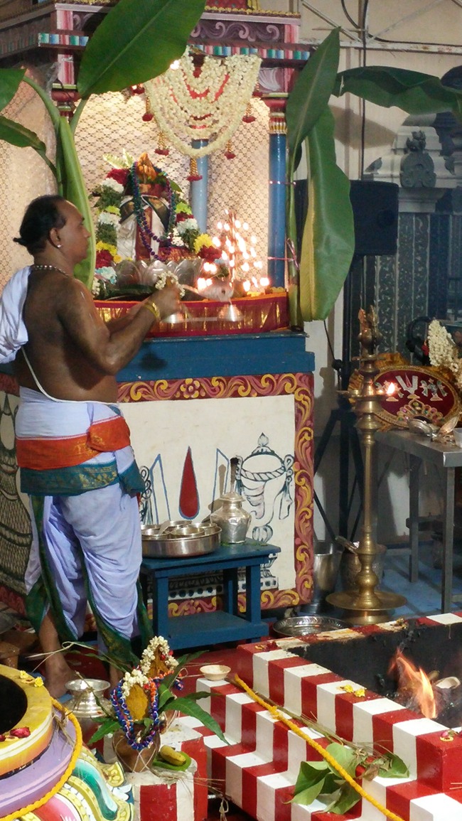 Singapore Srinivasa Perumal Temple Pavithrotsavam 2014--0016