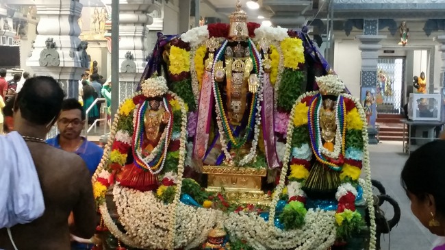 Singapore Srinivasa Perumal Temple Pavithrotsavam 2014--0022