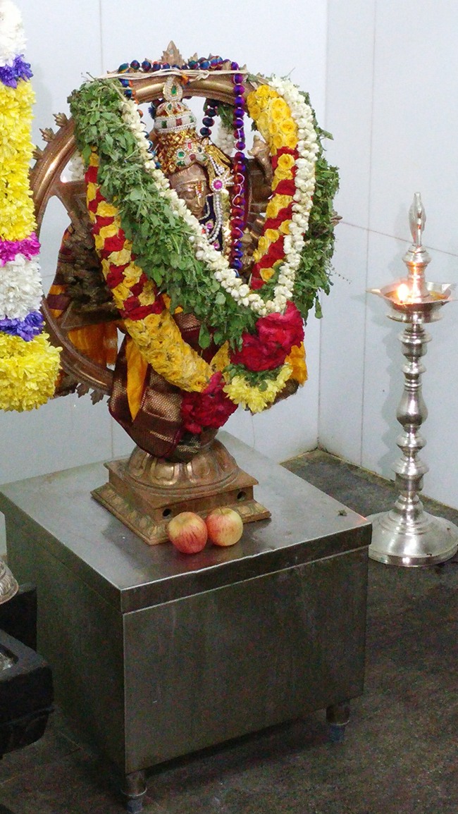 Singapore Srinivasa Perumal Temple Pavithrotsavam 2014--0024