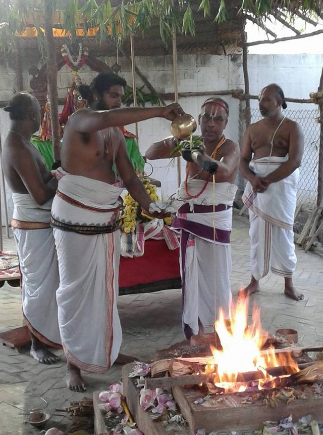 Siruseri Neelamanicka Perumal Temple Pavithrotsavam  2014 08
