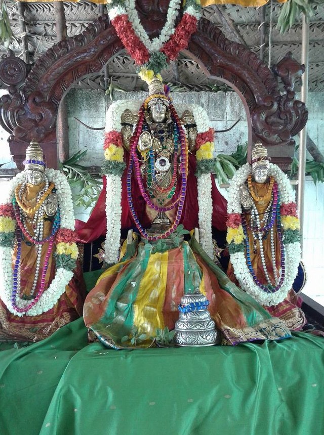 Siruseri Neelamanicka Perumal Temple Pavithrotsavam  2014 12