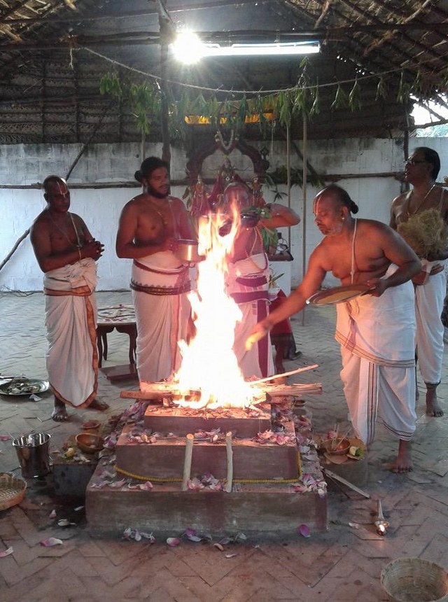 Siruseri Neelamanicka Perumal Temple Pavithrotsavam  2014 13
