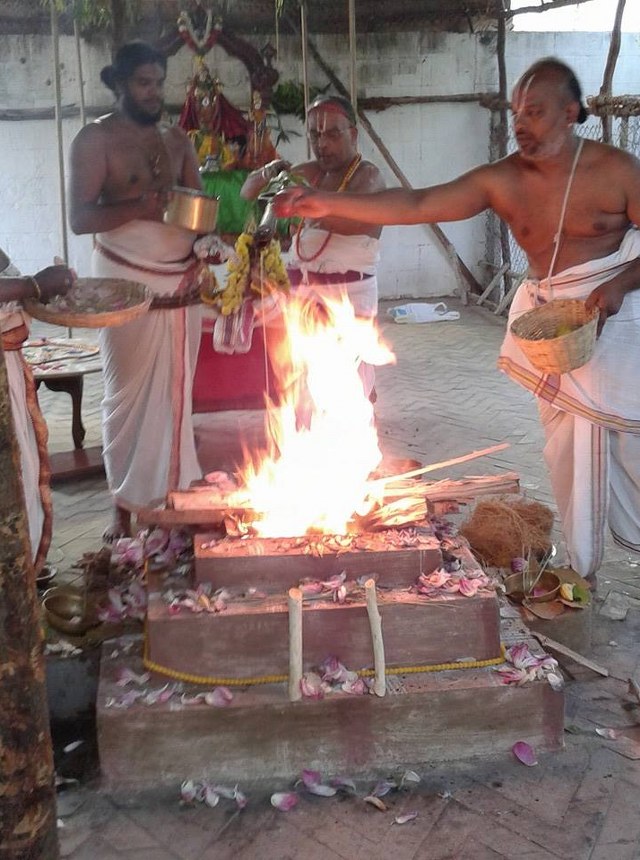 Siruseri Neelamanicka Perumal Temple Pavithrotsavam  2014 14