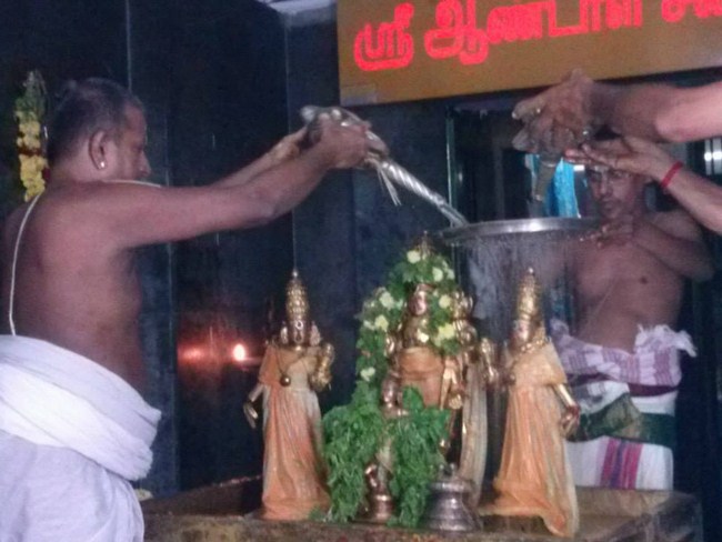 Sri Jayanthi At Aminjikarai Sri Prasanna Varadaraja Perumal Temple 15